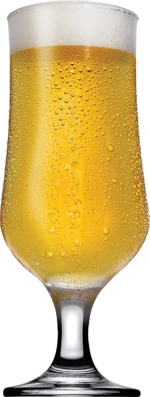  Set gota për birrë, Tulipe 6 copë, 0.38 L
