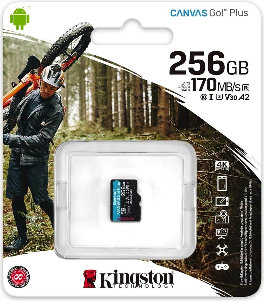 MicroSD Kingston, 256 GB, Canvas Go