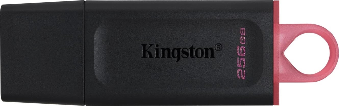 USB Flash memorie Kingston, 256GB, e zezë