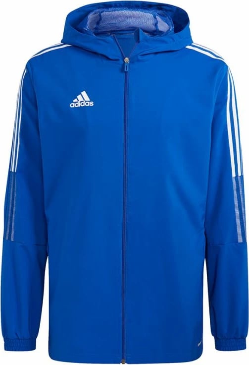 Duks për meshkuj adidas Tiro 21 Windbreaker, e kaltër 