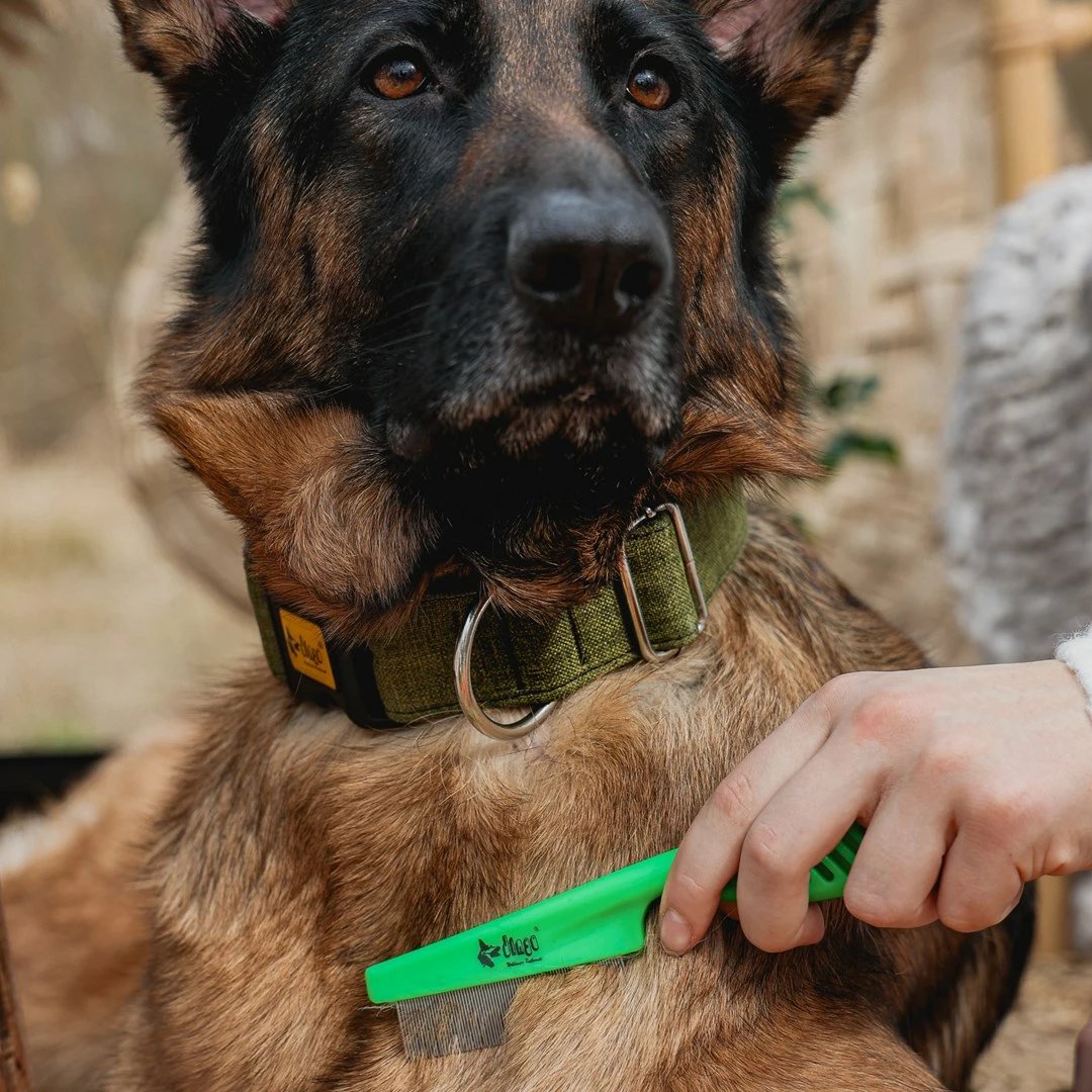 Krehër insektesh DINGO për qen ose mace, dorezë plastike, gjelbër - 18 cm