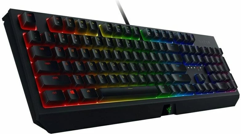 TASTIERE GAMING RAZER BLACKWIDOW