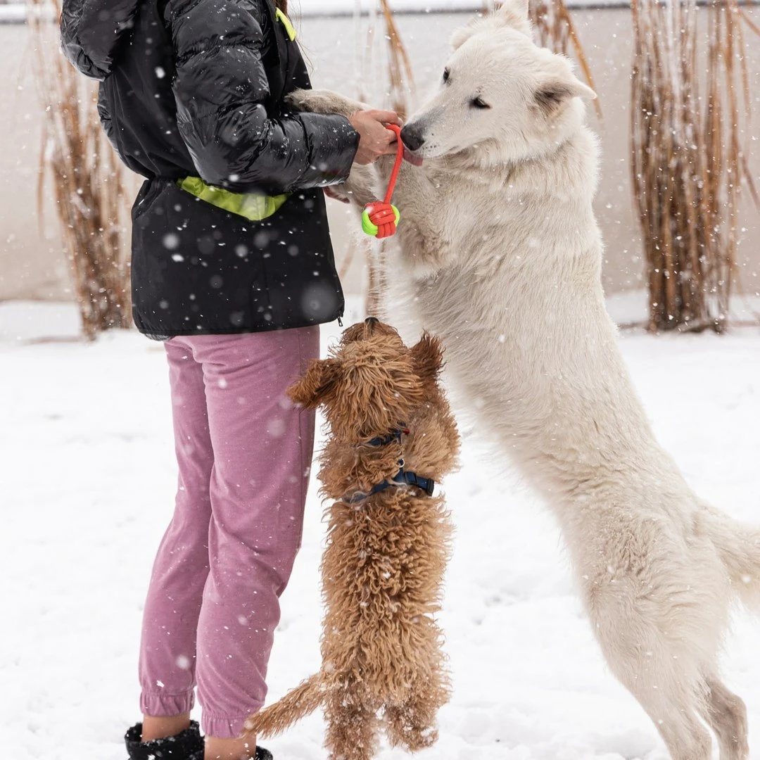 Top lodër për qen, DINGO, me dorezë - 40 cm, e kuqe