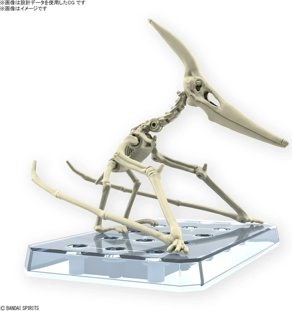 Model Plannosaurus Pteranodon Bandai