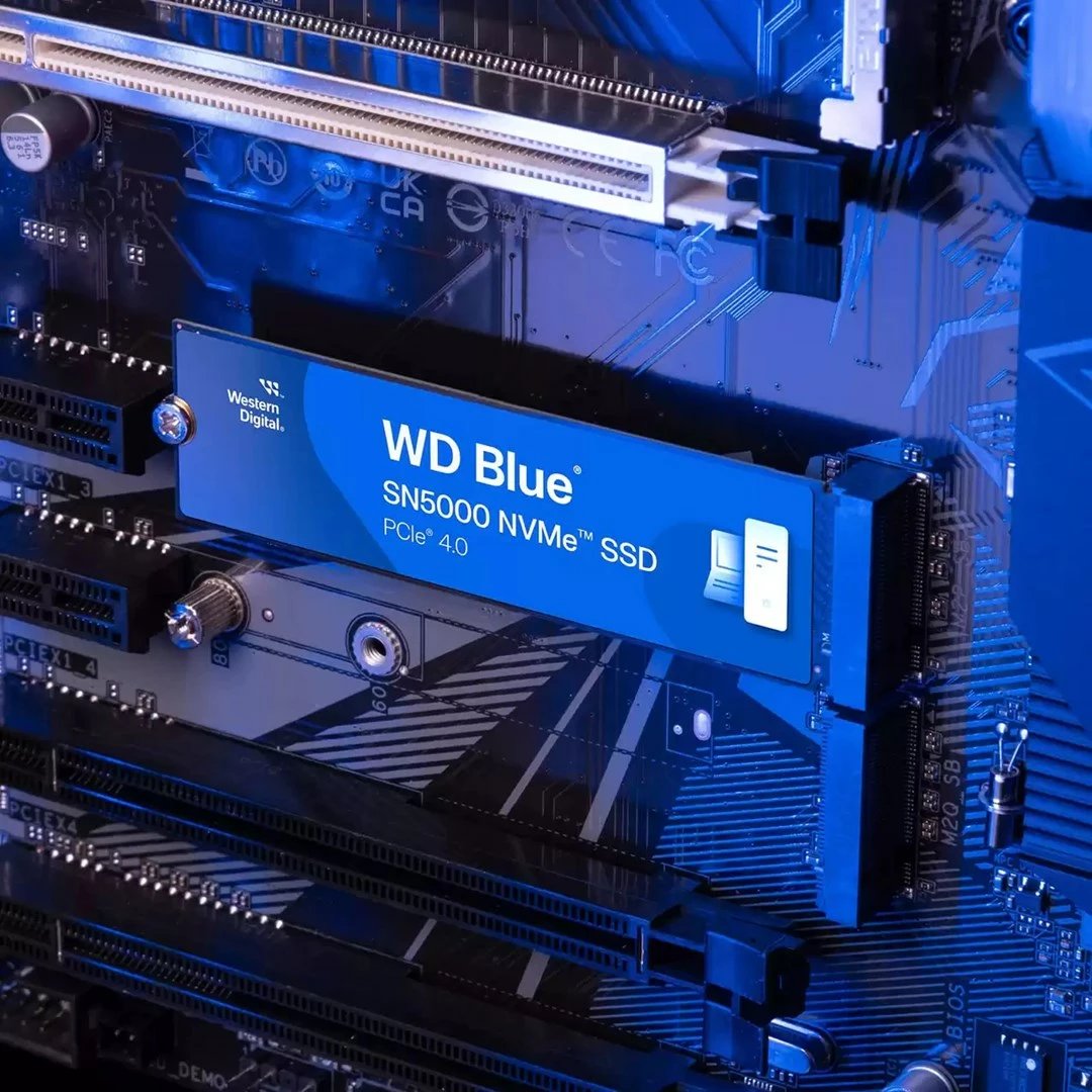 SSD WD Blue SN5000, 500 GB, M.2 PCIe 4.0, Blu